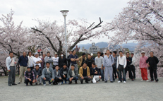 写真：4月　花見