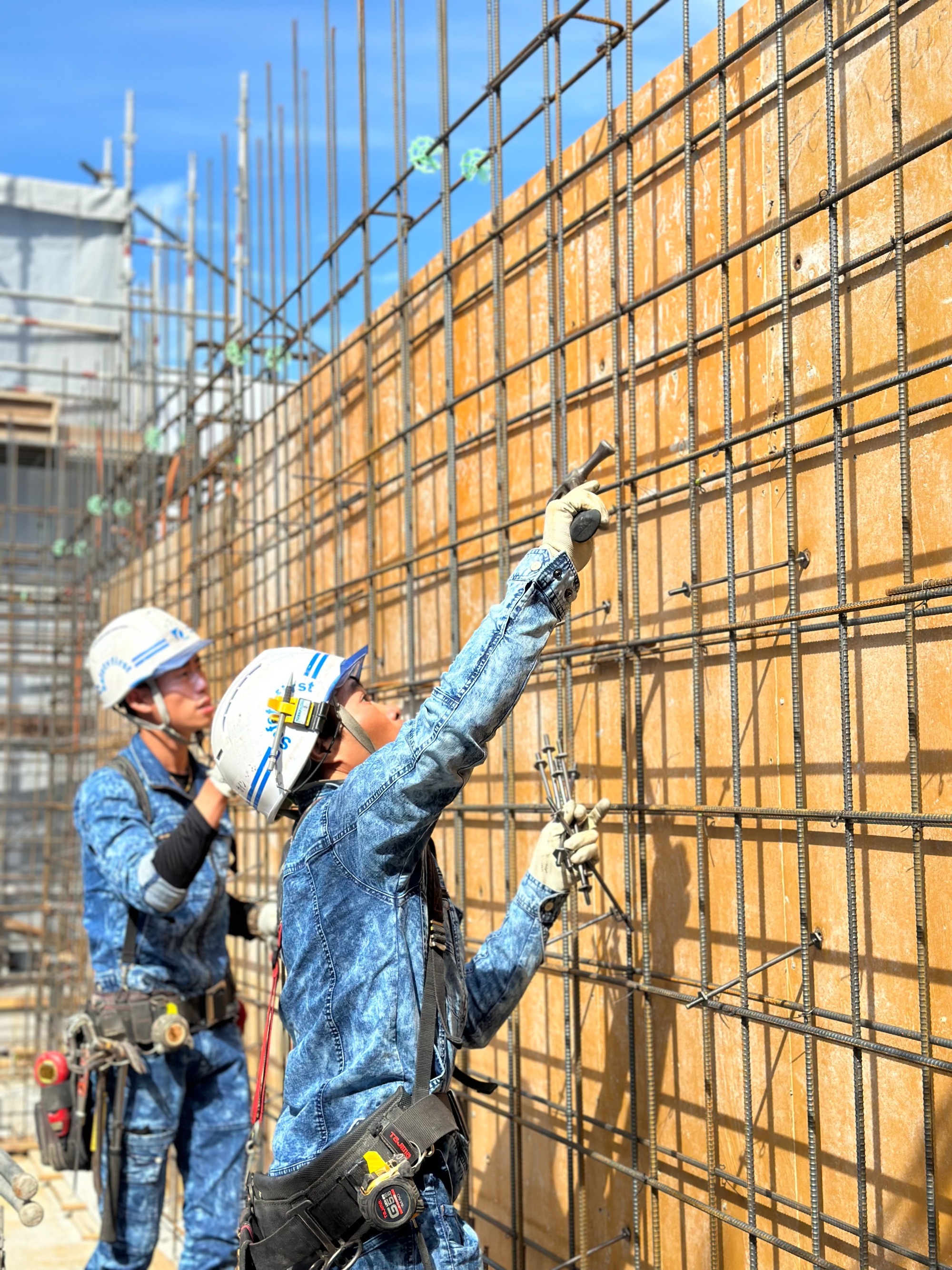 写真：作業風景